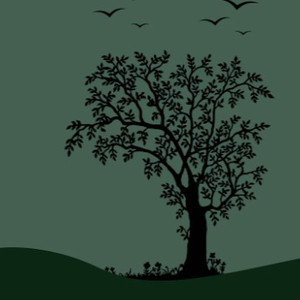 欧美老妇50*60性视频
